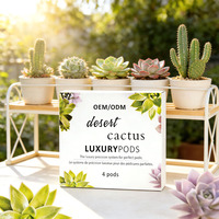 Kit de Soin des Pieds Détoxifiant aux Extraits de Cactus – Pédicure 4 Étapes en Boîte – Fournitures pour Ongles – Service de Fabrication OEM/ODM