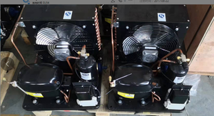 SC21CL 104L2327 Made in China <strong>Compressor</strong> of a Fridge 220-240V 50HZ <strong>R404A</strong> <strong>Compressors</strong> Refrigerator <strong>1HP</strong> <strong>Compressor</strong> - Product Image 5