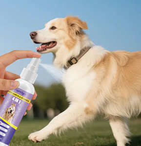 Lovsens Shampoing Protecteur Sans Rinçage <span class=keywords><strong>Anti</strong></span>-Poux, <span class=keywords><strong>Anti</strong></span>-Bactérien, <span class=keywords><strong>Anti</strong></span>-Puces 4-en-1, Spray Nettoyant et Protecteur - Product Image 5