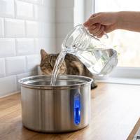 Fontaine à eau pour animaux de compagnie ultra silencieuse avec fenêtre de niveau d'eau visible, alerte de niveau d'eau faible, filtre circulant pour chats et chiens d'intérieur toutes races