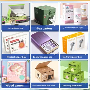 Airplane Box Custom Color White Card Carton Extra Hard Cowhide Corrugated Fruit Printing Eco-Friendly Packaging Box Decoration - Product Image 2