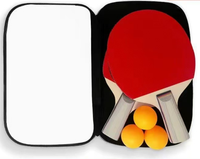 Raquettes de ping-pong avec balles - Ensemble de raquettes de tennis de table avec caoutchouc inversé adhérent pour un meilleur contrôle, pour les jeux en intérieur et en extérieur