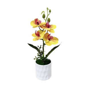 Nouvelle plante artificielle en pot Phalaenopsis à quatre fleurs, 10cm-30cm, en plastique, décoration de bureau - Product Image 5