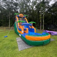 Toboggans aquatiques gonflables en PVC pour l'extérieur, avec piscine à jets d'eau, grande capacité, location pour événements, pour les grands groupes et les enfants