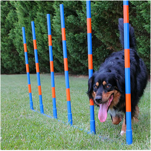 Equipo de Entrenamiento de Agilidad para Perros de 2x2 Postes, Postes de Plástico de 6 Postes para Juegos de Patas, Competiciones, Slalom - Product Image 4