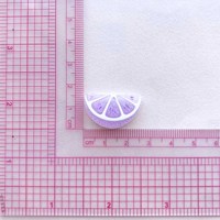 Citroen DIY harscharms fruit voedsel sinaasappelplakje voor DIY haarclips telefoonhoesjes schoensluitingen