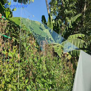 Lastra Acrilica Trasparente Anti-UV per Lettini Abbronzanti con Garanzia <span class=keywords><strong>di</strong></span> 10 Anni - Product Image 6