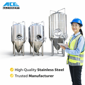 Equipo para Elaboración de Kombucha de 500L - Tanques de Fermentación, Tanques para Preparar Té Kombucha, Maquinaria para Alimentos y Bebidas - Product Image 3