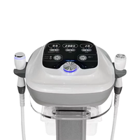 Máquina de Electroporación y Mesoterapia 2 en 1, Dispositivo de Electroporación Corporal y Facial, Herramientas de Cuidado de la Piel con Enfriamiento y Calentamiento para Uso en Salón