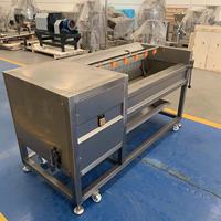 Machine à laver industrielle de dattes de légumes frais, de fruits, de nettoyage, de séchage et de traitement