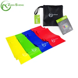 Zhensheng Workout Home Fitness Resistance Bands Stretch Exercise