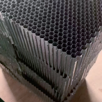 Panneaux en nid d'abeille en aluminium, le revêtement peut être transformé en panneaux composites en aluminium PVDF/PE, panneau de toiture en aluminium