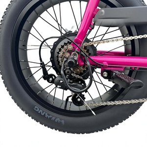 Moteur de moyeu arrière 48V 20"x4.0" avec cadre en aluminium et batterie au lithium pour cruiser, idéal pour la neige et le sable, 48V 1 - Product Image 4