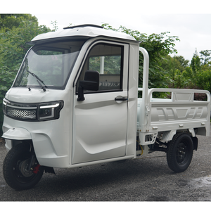 Entrepôt en Allemagne Tricycles Électriques de Fret avec Cabine Fermée et Chargement Semi-Haut Camion <span class=keywords><strong>Moto</strong></span> Cargo avec DDP - Product Image 2