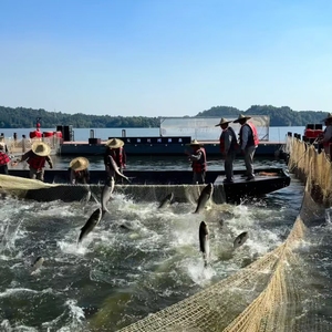 معدات صيد السمك عالية الجودة: متينة وخفيفة الوزن وقابلة للثقة - Product Image 1