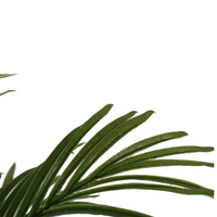 Pohon Palem Buatan Hijau Grosir 120cm Ringan Realistis Tahan UV Tahan Lama Ramah Lingkungan Tanaman Plastik Indoor/Outdoor