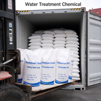 Chlorure de polyaluminium à faible teneur en métaux lourds, poudre blanche PAC 30% pour l'eau potable
