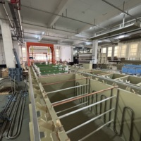 Équipement de galvanisation certifié CE, ligne d'électrolyse automatique pour métaux, machine d'électrolyse au zinc, équipement d'anodisation
