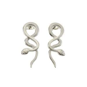 1 Par de Pendientes de Acero Inoxidable Estilo Punk con Forma de Animal, Pendientes de Serpiente para Mujer, Joyería para Oreja - Product Image 1