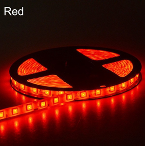 ไฟ LED แถบสี RGB 5050 12V 24V DC 60LED/เมตร กันน้ำและไม่กันน้ำ ไฟ LED เปลี่ยนสีได้แบบยืดหยุ่น - Product Image 2