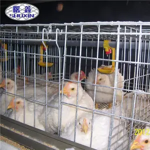 Gaiola de frango com bico para frango, gaiola de bateria de alta eficiência para granjas avícolas com capacidade de 60 a 80 pássaros
