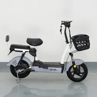 Bicicleta Eléctrica para Adultos, 500W, 48V, 20ah, Motor sin Escobillas, Batería de Plomo-Ácido