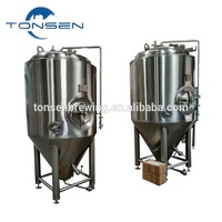 Fermenteur conique professionnel de brasserie à la maison SUS304 100L CE