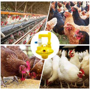 Vanne de régulation de pression pour cage à poules, réservoir <span class=keywords><strong>d</strong></span>'<span class=keywords><strong>eau</strong></span>, ligne <span class=keywords><strong>d</strong></span>'<span class=keywords><strong>eau</strong></span> pour volailles, régulateur de pression - Product Image 6
