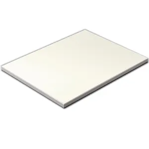 Tablero laminado compacto fenólico HPL panel de núcleo blanco para tablero de mesa