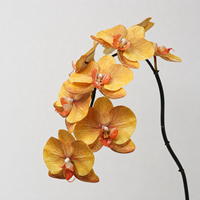 Orchidées papillon en latex de luxe de haute qualité LY, nouveau design, toucher réaliste, orchidée Phalaenopsis réaliste, décoration de Pâques, de mariage et de maison
