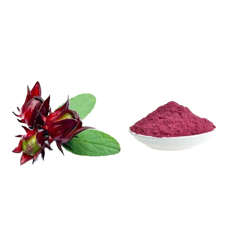 Reine Natur Roselle-Extraktpulver Hibiskusblume-Extraktpulver Jamaika-Sorrel-Extrakt lila rotes Pulver