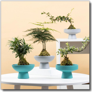 Creative Tsurugi-<span class=keywords><strong>san</strong></span> Flower arranger non-hole in ceramica calamus muschio palla vaso di fiori personalizzato Desktop <span class=keywords><strong>Zen</strong></span> vaso di fiori - Product Image 3