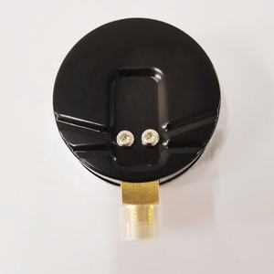 2024 गर्म बिक्री EN837-1 दबाव गेज 0-2.5बार 1/4 'जी ड्राई मैनोमीटर - Product Image 5