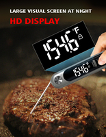 Four à pizza, pot à café, steak, viande, huile de cuisson, en plastique, numérique, magnétique, étanche, alimenté par piles, avec écran LCD à lecture instantanée