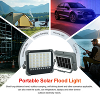 Projecteur LED Solaire Portable 200W pour Extérieur, en Verre ABS, à Longue Autonomie, pour Camping et Pêche, avec Sortie USB, Commande en Gros