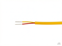 Kabel Termokopel Tipe K Fongming KX-VV dengan Isolasi/Jaket PVC, Konduktor Ni-Cr/Ni-Si 2*26-2*14AWG untuk Pemanasan Suhu Tinggi