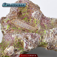 Vastocean Roche artificielle de récif corallien pour aquarium marin, pierre de paysage pour aquarium, assemblage en résine, fabriqué en Chine