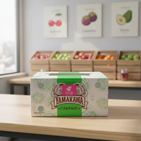 Boîte d'emballage personnalisée en gros pour fruits et légumes frais, pliable, en plastique PP, matériaux recyclés, épaisseur 3-5 mm, HW-SHBOX