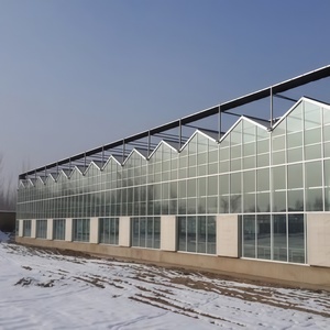 Invernadero agrícola de vidrio grande tipo Skyplant Venlo, ecológico para exposiciones de cría de semillas, restaurantes, vidrio de casa <span class=keywords><strong>verde</strong></span> - Product Image 4