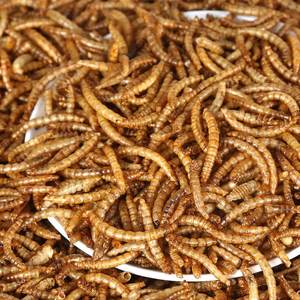 100% ללא GMO טבעי מיקרוגל תולעי קמח יבש תולעי דם למכירה/מזון לחיות מחמד עבור תרנגולות ציפור בר - Product Image 3