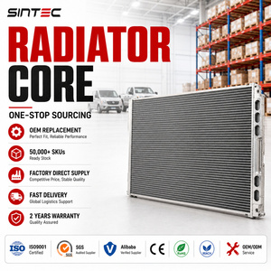 Componenti del Sistema di Raffreddamento del Radiatore per Ford Transit, <span class=keywords><strong>Iveco</strong></span> <span class=keywords><strong>Daily</strong></span>, JAC Sunray, Maxus V80 V90, Fornitura Stabile da Produttore OEM - Product Image 1
