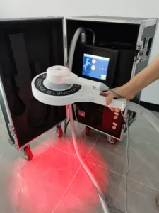 馬の痛みを和らげるためのプロの馬Pmstループ獣医Physio磁気電気パルス電磁界