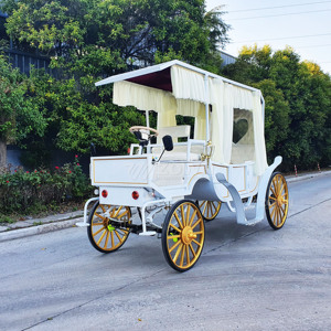 White Golden Electric Wedding Carriage Heart Window <b>Sheer</b> <b>Curtain</b> Canopy Romantic Sightseeing Parade Cart - Product Image 6