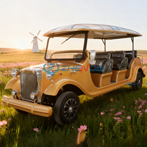 Voiture électrique de tourisme vintage couleur orange personnalisée, 8-11 passagers, toit rigide, véhicule rétro pour visites en zone touristique, station balnéaire, mariage - Product Image 3