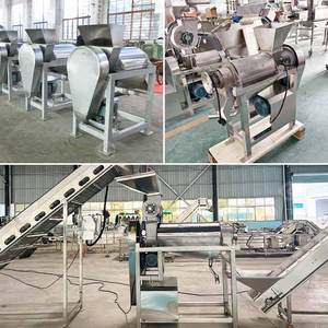 Machine à pulper et à finir la pulpe, pour l'extraction, la séparation et le dénoyautage des fruits, à vendre - Product Image 2