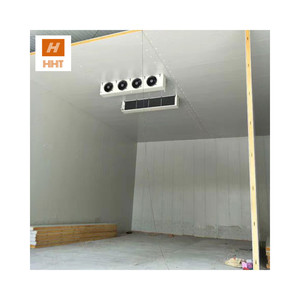 Entrepôt Froid Pour Fruits <span class=keywords><strong>Prix</strong></span> <span class=keywords><strong>chambre</strong></span> <span class=keywords><strong>froide</strong></span> <span class=keywords><strong>négative</strong></span> 20 pieds température intérieure <span class=keywords><strong>Chambre</strong></span> <span class=keywords><strong>Froide</strong></span> Usine - Product Image 3