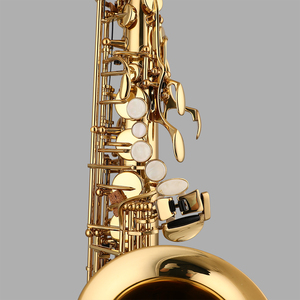 <span class=keywords><strong>Jek</strong></span> G3อัลโตแซกโซโฟนสีทองเหลืองทาแลคเกอร์ EB - Product Image 5