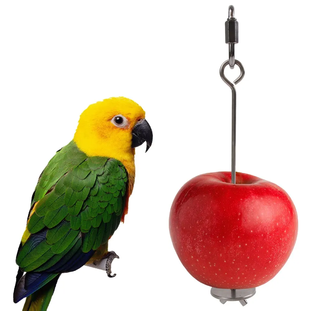 Pet bird acessórios pendurar gaiola aço inoxidável papagaio suprimentos pássaro alimentador papagaio fruta garfo