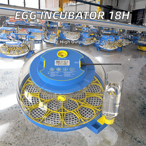 ตู้ฟักไข่ไก่/ห่าน WONEGG 18H DC 12V พร้อมไฟ LED  ตัวควบคุมแบบถอดได้  ปรับอุณหภูมิได้ทั้งแบบเซลเซียส/ฟาเรนไฮต์  ระบบพลิกไข่อัตโนมัติ  ความแม่นยำ 98% - Product Image 2