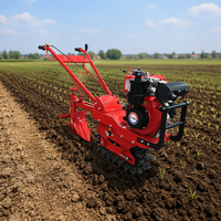 Motoculteur à chaîne EAGLE POWER avec moteur 7HP pour un labourage efficace